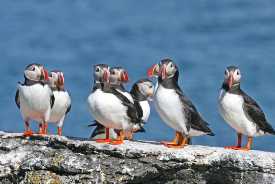 Picture of Private South Coast tour with a Local Guide