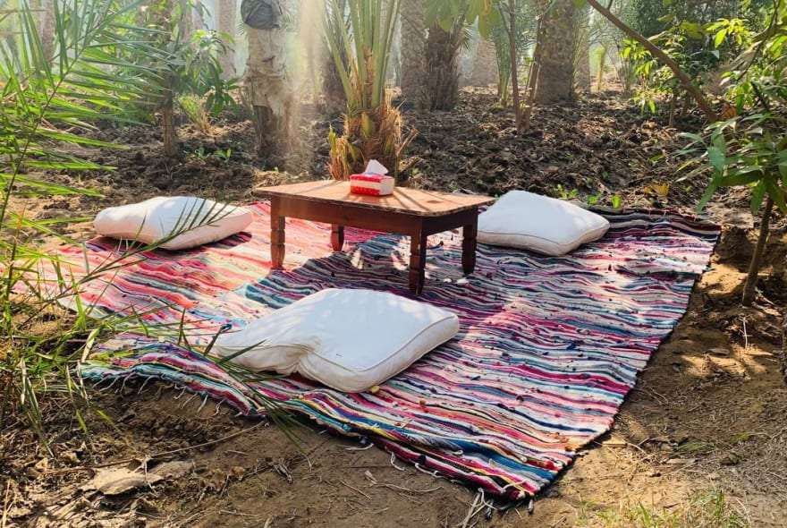 Picture of Explore Cairo's Rural Charms: Journey into the Countryside