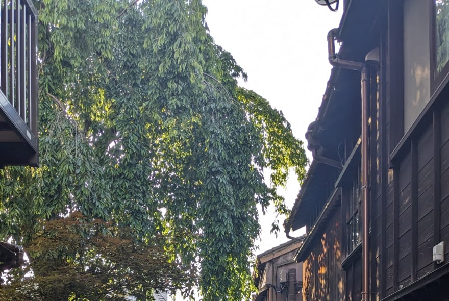 Picture of Echoes of Edo: A Journey Through Kanazawa's Samurai Heritage