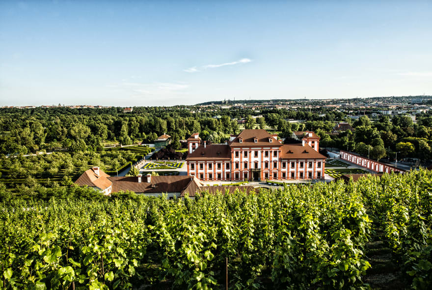 Picture of Prague´s hidden vineyards + wine tastings