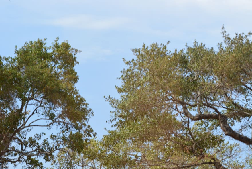 Picture of Enjoy landscape and wildlife at the south-coast