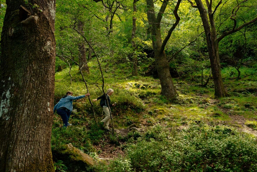 Picture of City Escape: Wicklow Mountains Day Trip
