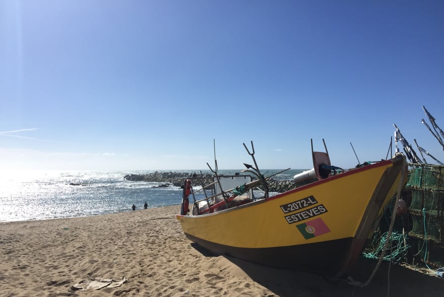 Picture of Exploring the Atlantic Coast: Food and History - The Best of Both Worlds