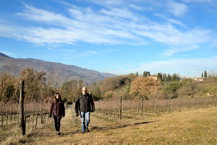 Picture of Nature fun! Tuscany Hike & Wine Private Tour with a Professional Guide and a Winemaker.