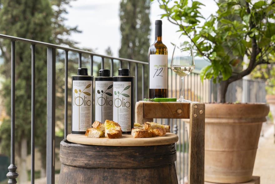 Picture of Wine and Olive Oil tasting with light lunch in a local farm in Colle Val d'Elsa