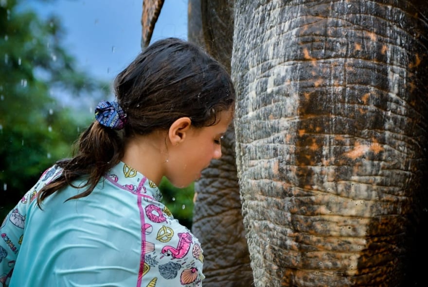 Picture of Elephant Sanctuary & Phuket Highlights: An Authentic Adventure