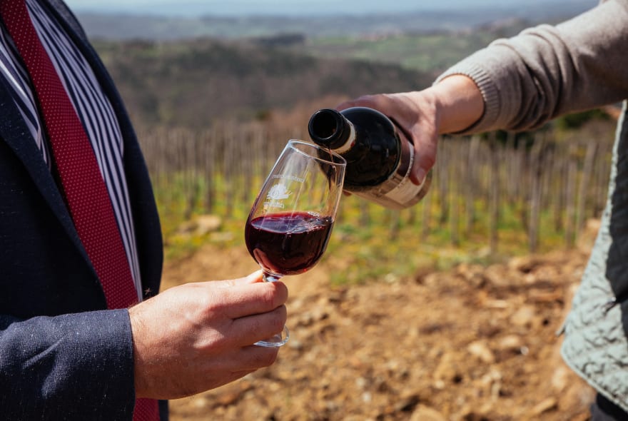 Picture of Wine tasting on the slopes of Vesuvius