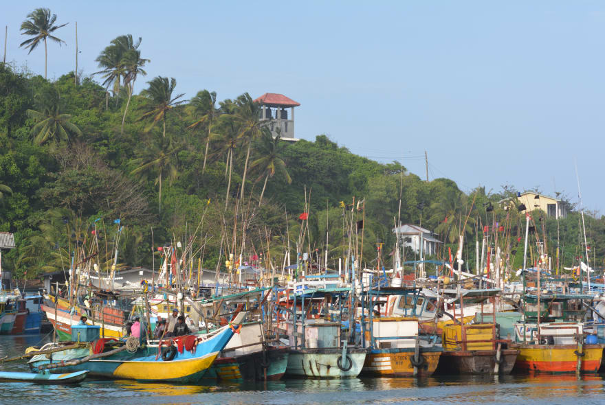 Picture of 2 Day Private Trip to Galle with Overnight Stay