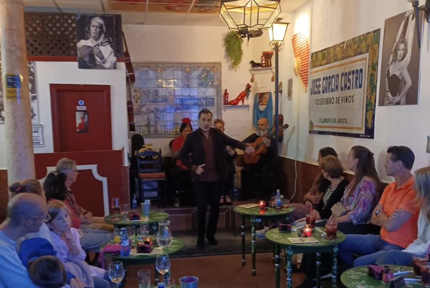 Picture of Flamenco & Tapas Night with a Local