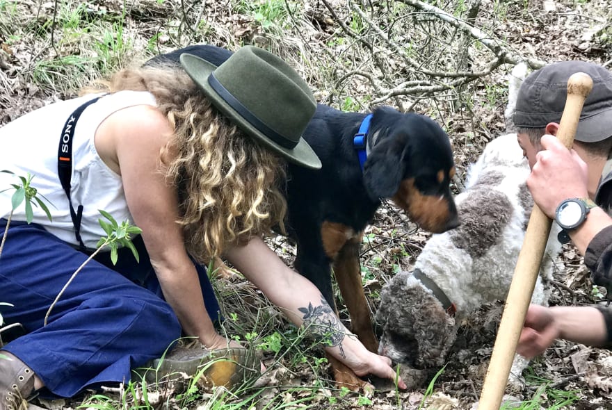 Picture of Truffle Hunt & Lunch in Italian Countryside