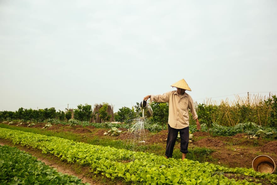 Picture of Farm tour & Cooking in Hanoi with local family