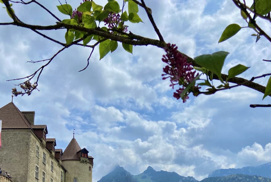 Picture of Gruyère's Medieval Charm and Culinary Wonders