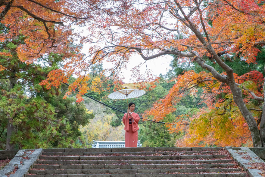 Picture of City Explorer: Nara Day Trip