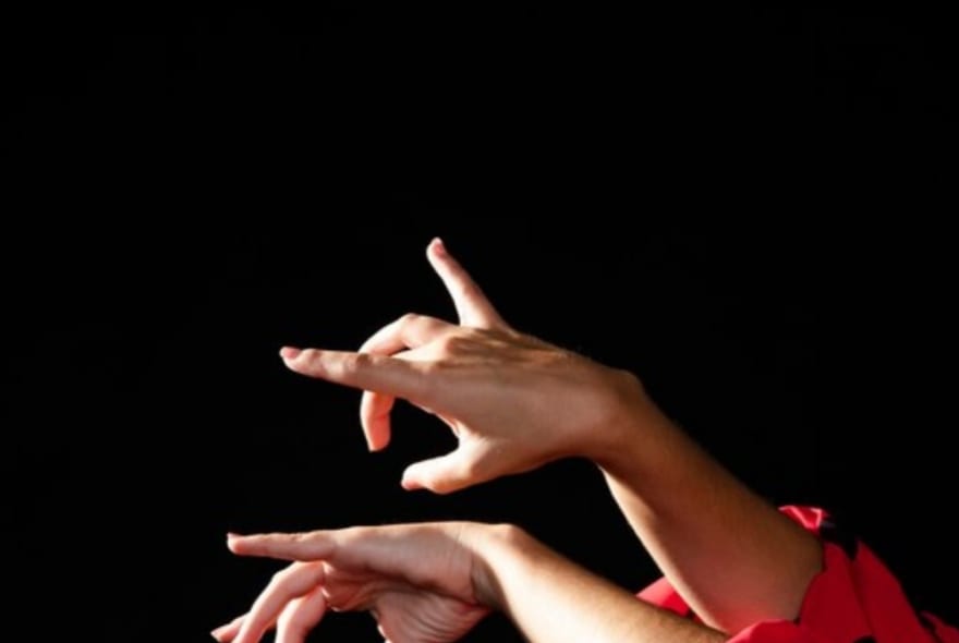 Picture of Sacromonte Flamenco Encounter: Live Show and Dinner within a Cave Setting