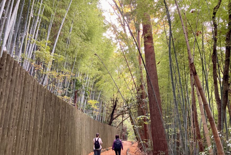Picture of Discovering Tranquil Nature and Hidden Gems