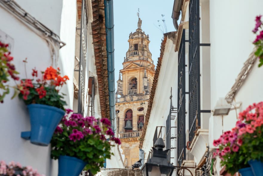 Picture of City Discovery: Carmona & Cordoba Day Trip