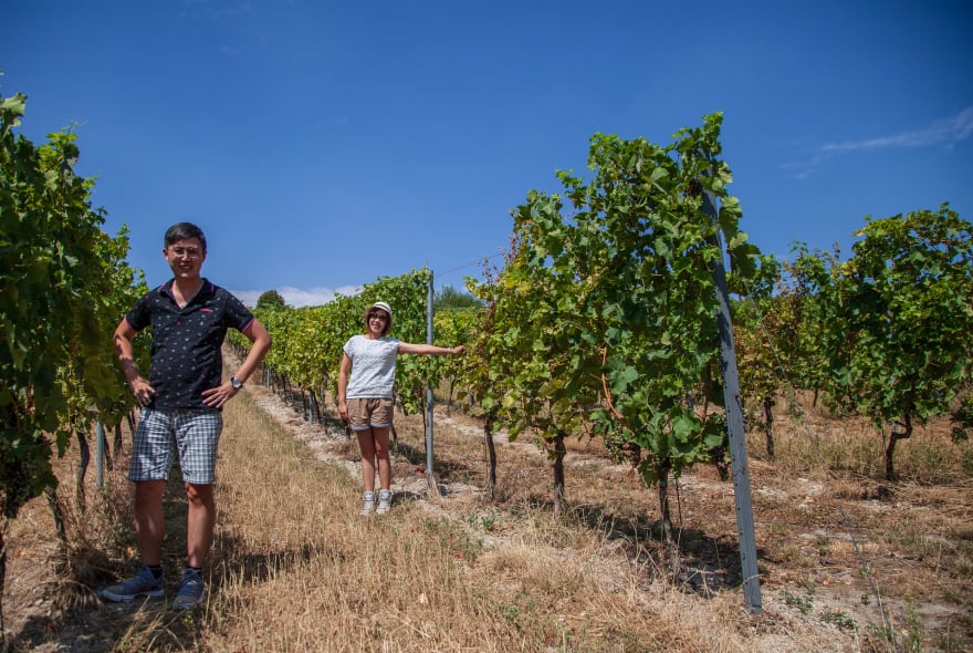 Picture of PRIVATE WINE & HERITAGE IN BOHEMIA (1-hour from Prague)