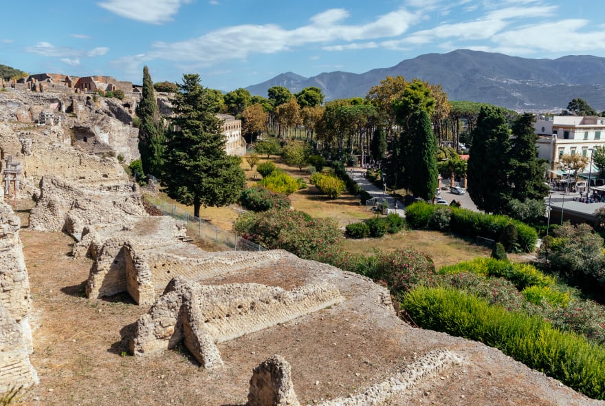Picture of A Day in Pompeii Tour with an Archeologist