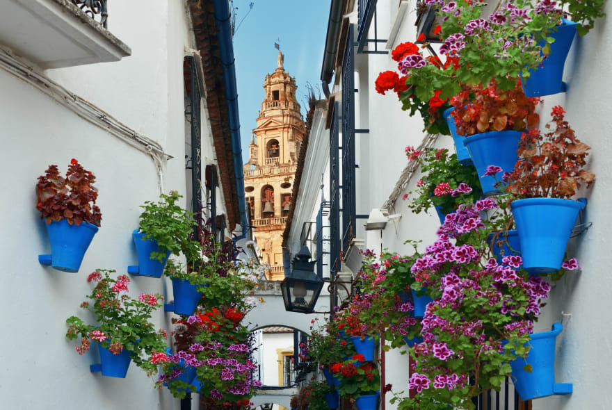 Picture of Highlights & Hidden Gems of Cordoba