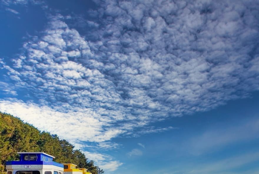 Picture of Haeundae Day tour including Blue Line Capsule train