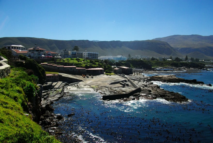 Picture of Cape Town's Whales & Wine day trip with Seafood Lunch