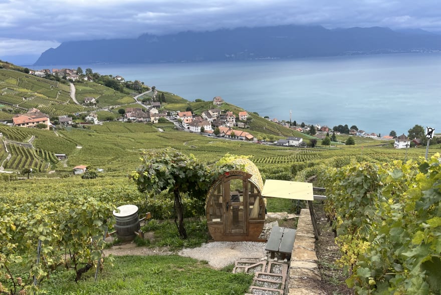 Picture of UNESCO World heritage vineyards