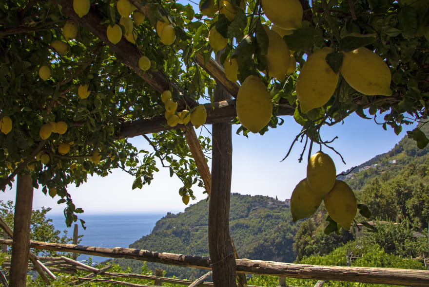 Picture of Lemon Path Discovery: Hiking the Enchanting Amalfi Coast
