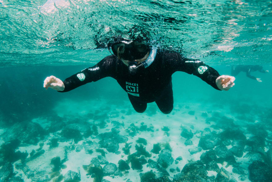 Picture of Cape Town From the Water: Snorkeling & Penguins