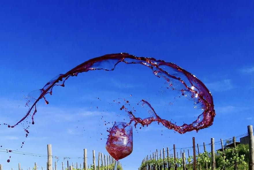 Picture of Wine and food under the Tuscan sun - a true experience in the Chianti region 
