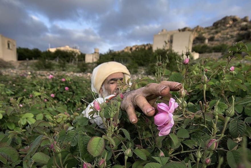 Picture of The real Oman: Day trip to the Mountain Villages 