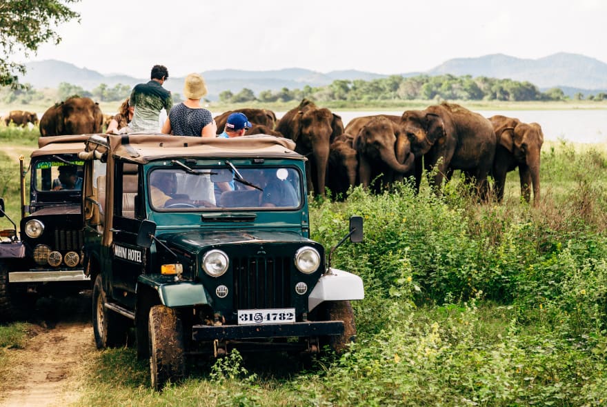 Picture of Exploring Sri Lanka: Best Multi-day Private Tour 