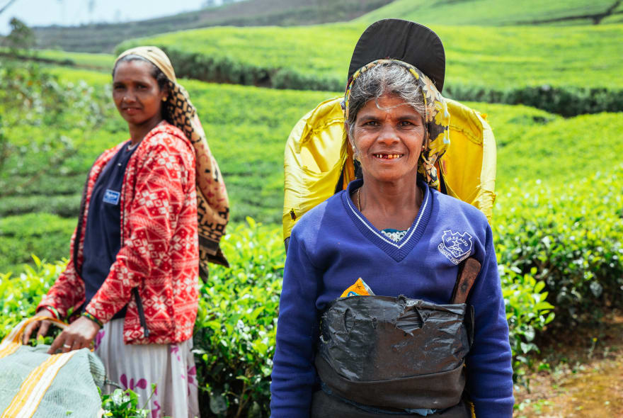 Picture of City Escape: Nuwara Eliya Day Trip