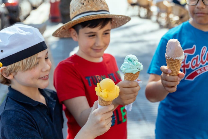 Picture of Family Friendly Dubrovnik City Tour