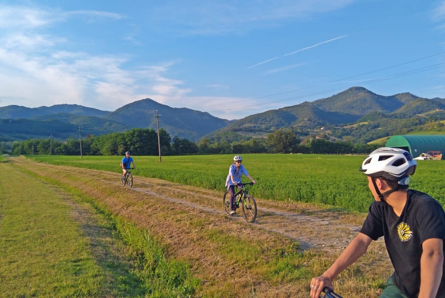 Picture of Tuscan Countryside Bike Tour & Saffron Tasting