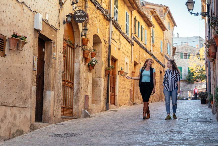 Picture of City Discovery: Valdemossa Day Trip