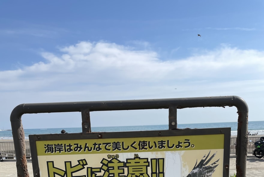 Picture of Kamakura Highlights: Half-Day Adventure