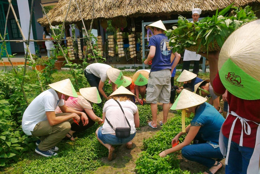 Picture of Healthy Cooking Class at Local Farm