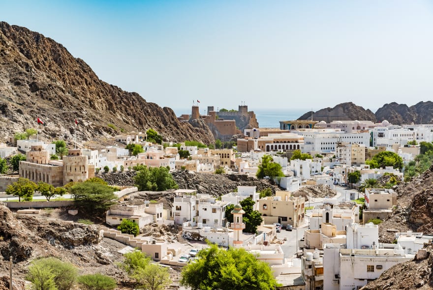 Picture of Full Coverage Muscat City Tour