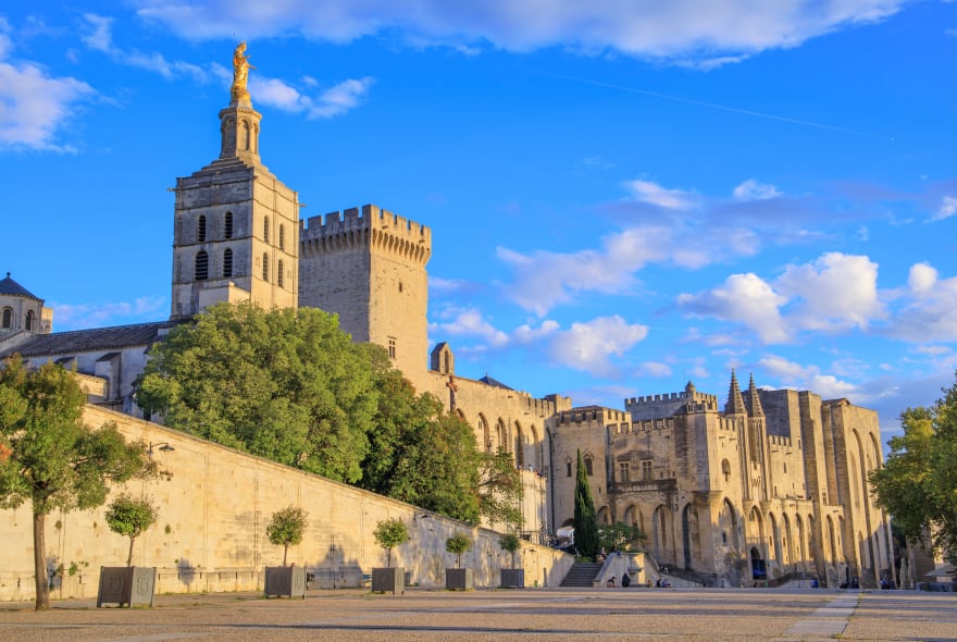 Picture of Full Coverage Avignon City Tour