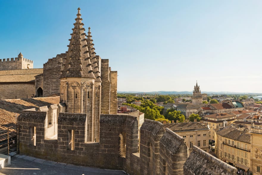 Picture of Withlocals Your Way! - Avignon City Tour