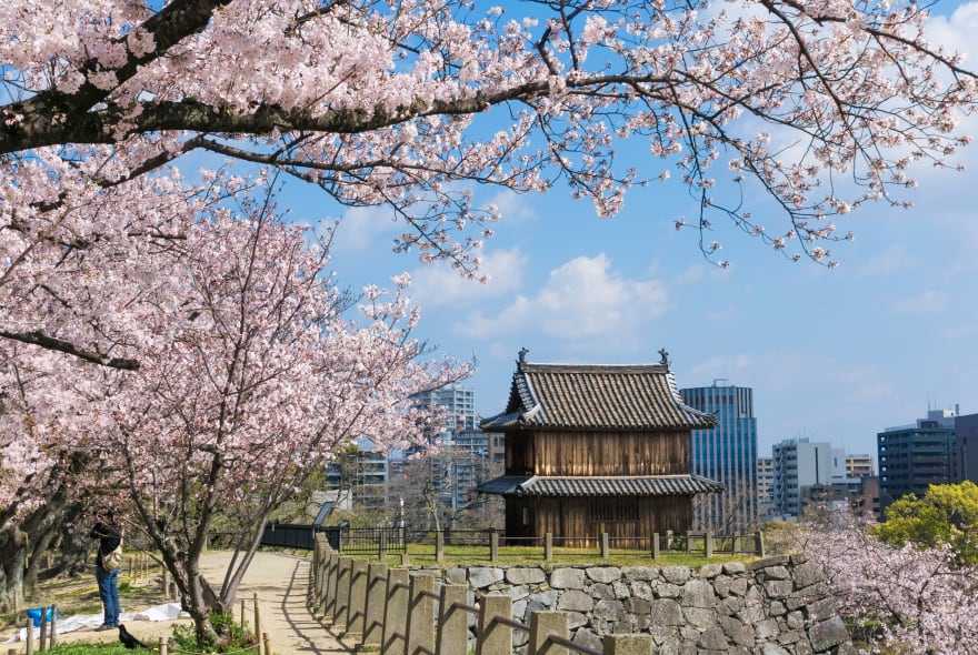 Picture of Highlights & Hidden Gems of Fukuoka