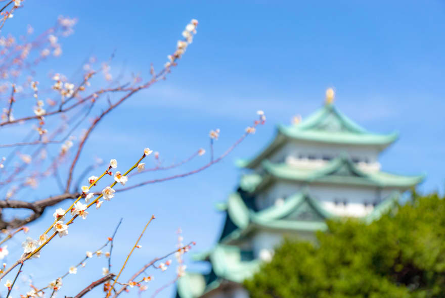 Picture of Explore the Nagoya Castle & Surroundings with a Local Guide