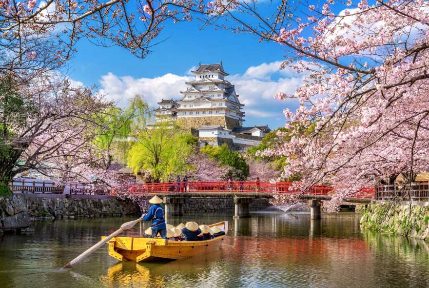 Picture of Withlocals Your Way! - Osaka City Tour