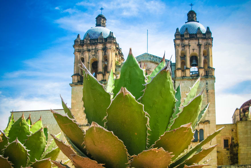 Picture of Withlocals Your Way! - Oaxaca City Tour