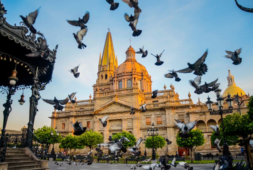 Picture of Highlights & Hidden Gems of Guadalajara