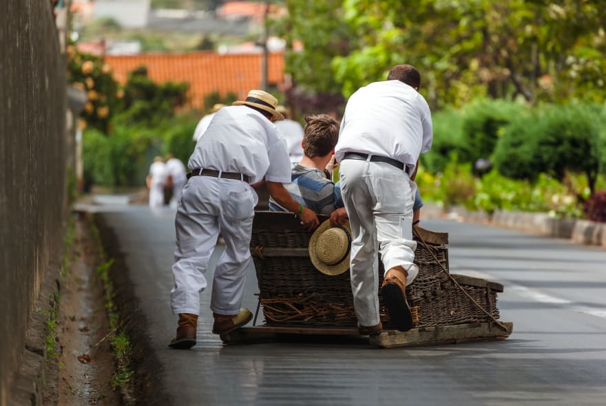 Picture of Highlights & Hidden Gems of Funchal