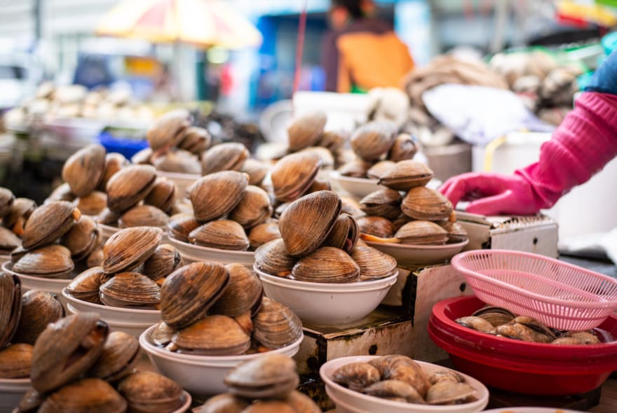 Picture of A Taste of Busan: Fishing Heritage & Seafood Tour