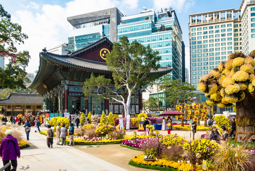 Picture of Full Coverage Seoul City Tour