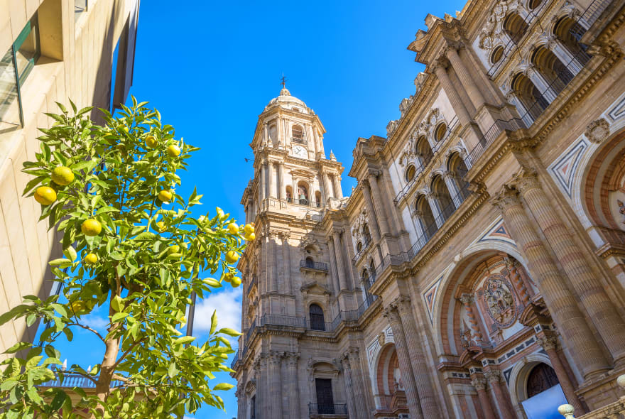 Picture of Highlights & Hidden Gems of Malaga