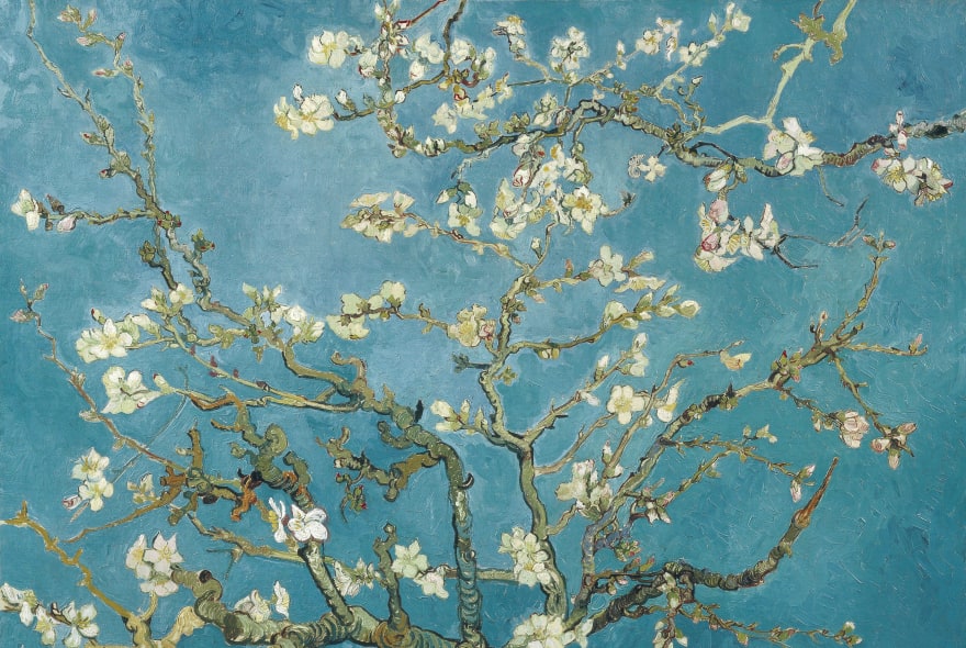 Picture of Explore the Van Gogh Museum with a Local Guide